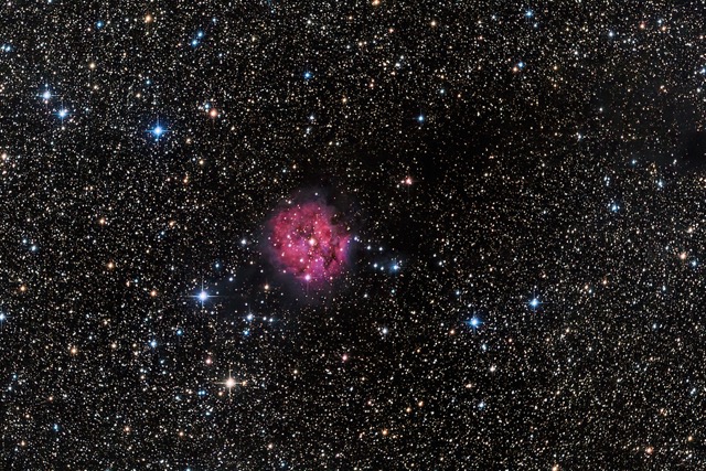 Cocoon Nebula